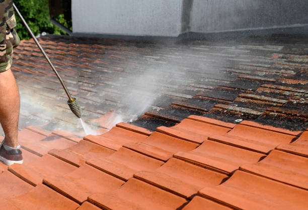 Why Choose Our Certified Pressure Washing Experts for Your Project Needs in Dover, DE?