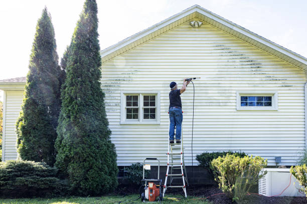 Best Residential Pressure Washing Services  in Dover, DE